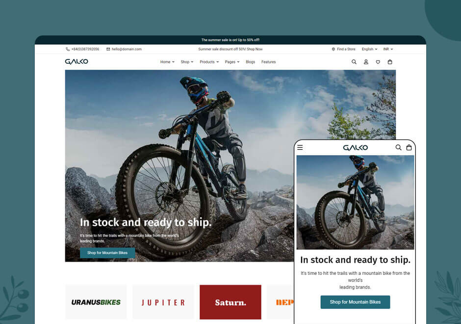 Bike & Accessories