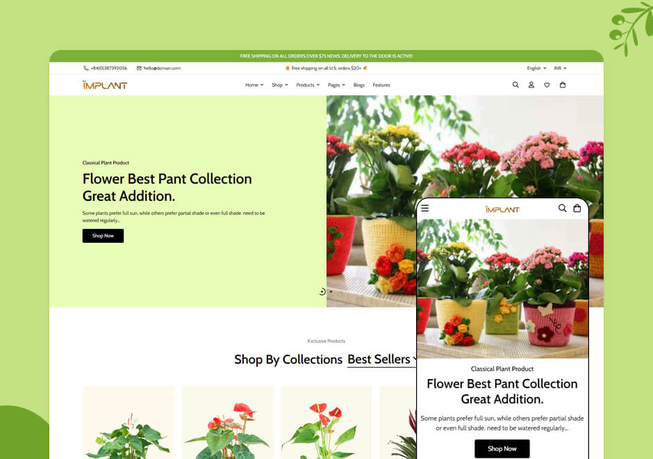 Flower Plant