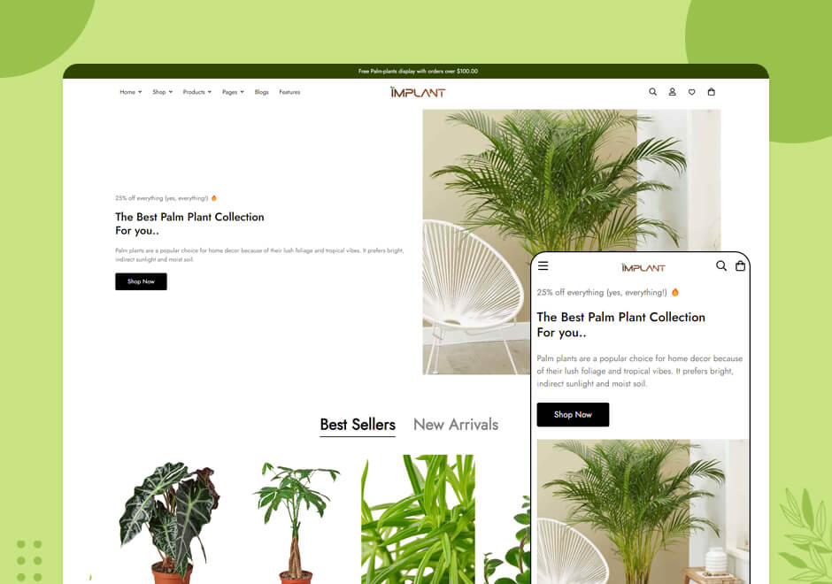 Palm Plants