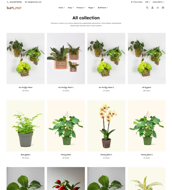 Collection List