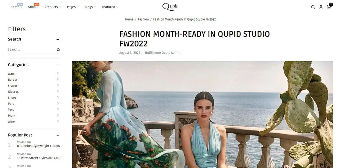 Single post with sidebar